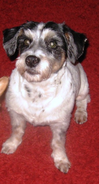 2011_02_22_maxpuntinachdemfriseur055